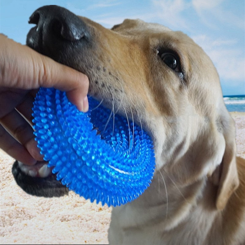 Pet Bite Resistant Chew Toy