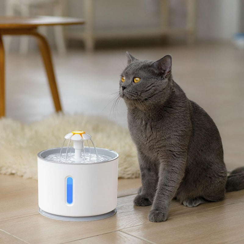 Pet Water Fountain Dispenser