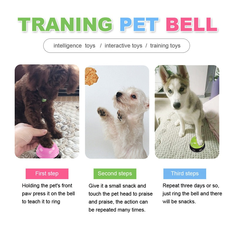 Pet Training Interactive Toy