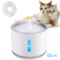 Pet Water Fountain Dispenser