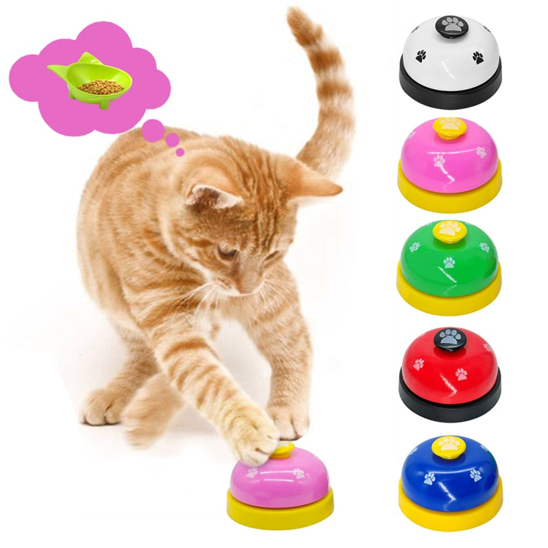 Pet Training Interactive Toy