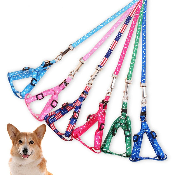 Durable Leash Nylon Cat Extension