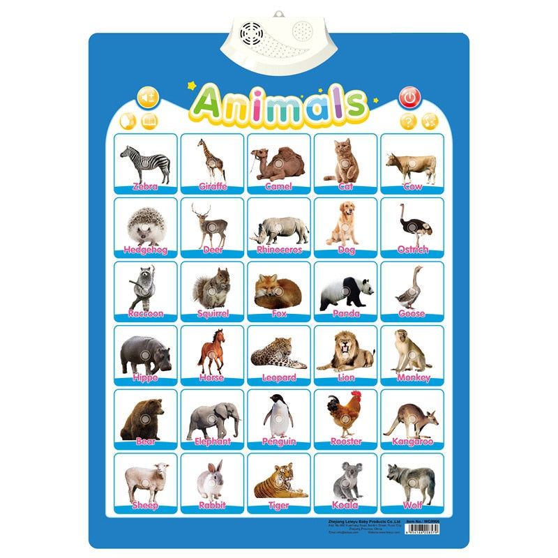 English Alphabet Wall Chart Toy