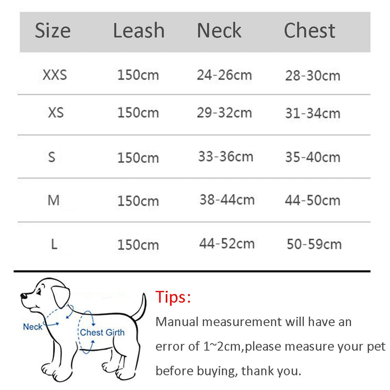 Dog Harness Leash Set