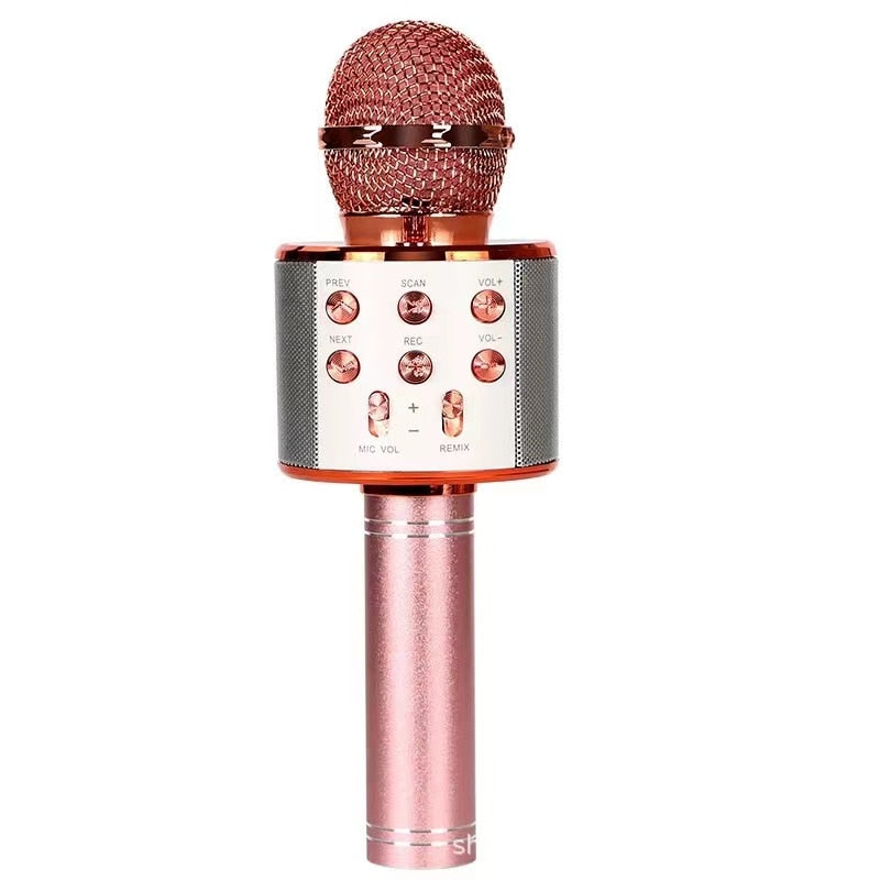 Handheld Karaoke Microphone for Kids