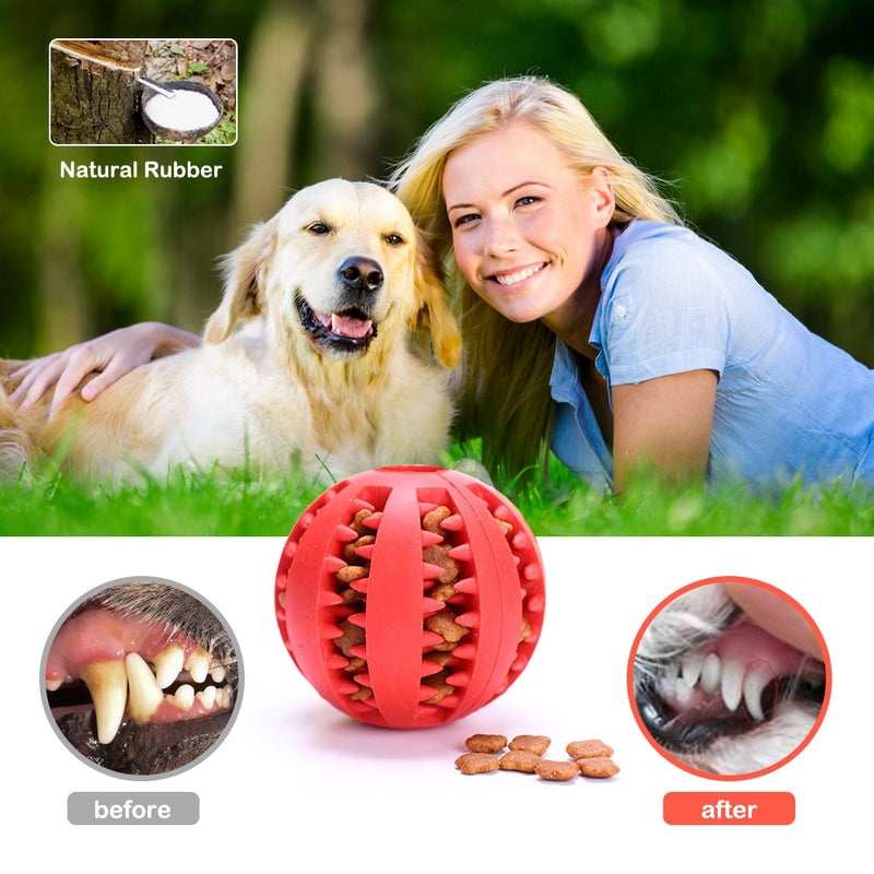 Pet Toy Interactive Rubber Balls