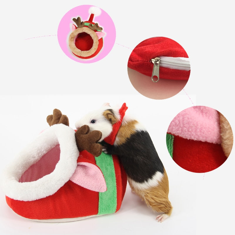 Pet Guinea Pig Ferrets Hamsters