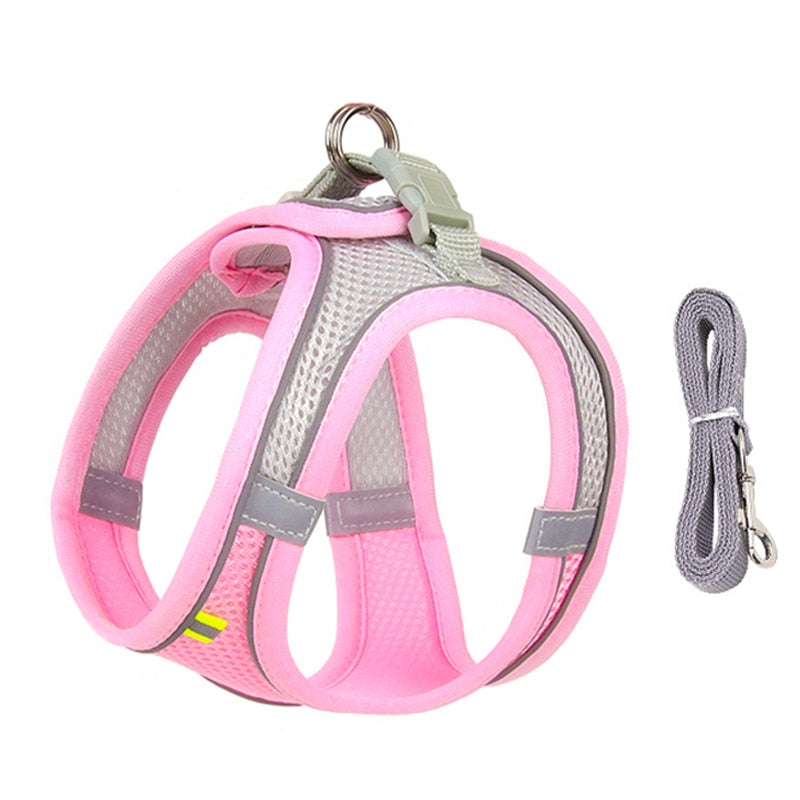 Dog Harness Leash Set