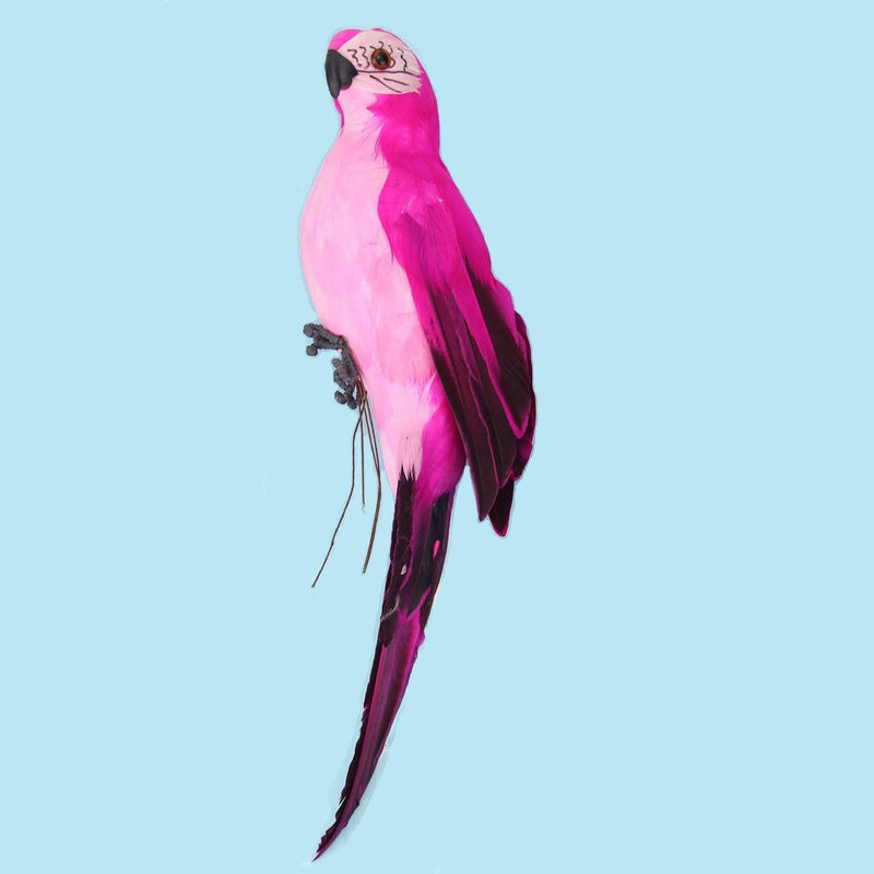 Creative Parrot Simulation