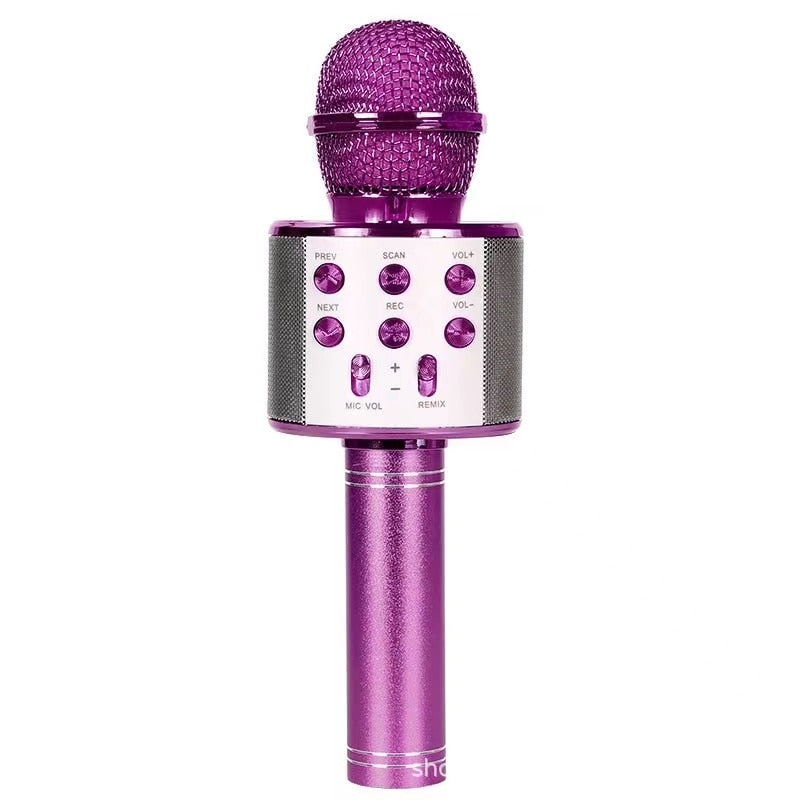 Handheld Karaoke Microphone for Kids