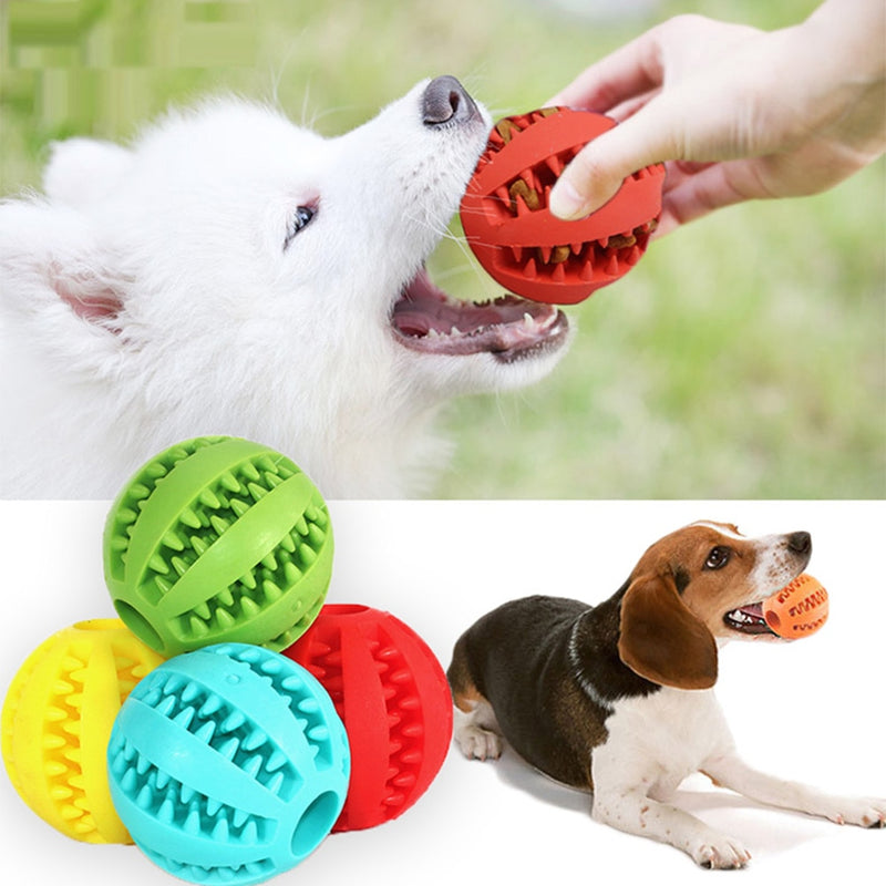 Pet Toy Interactive Rubber Balls