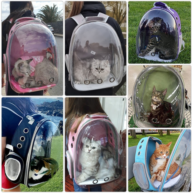 Pet Carrier Small Dog Backpack