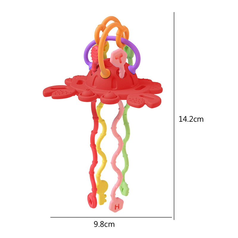 Baby Montessori Development Toys