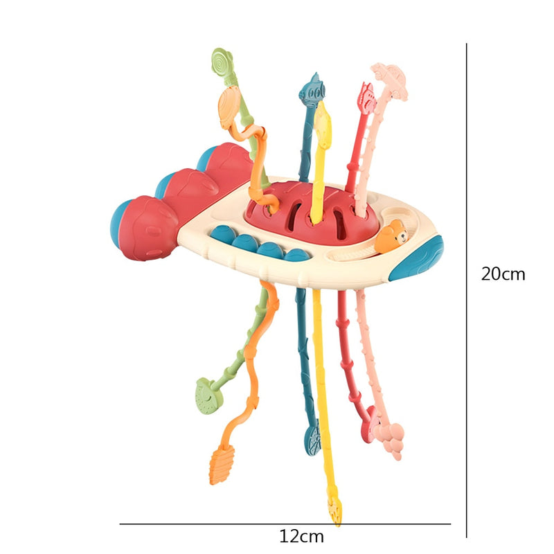 Baby Montessori Development Toys