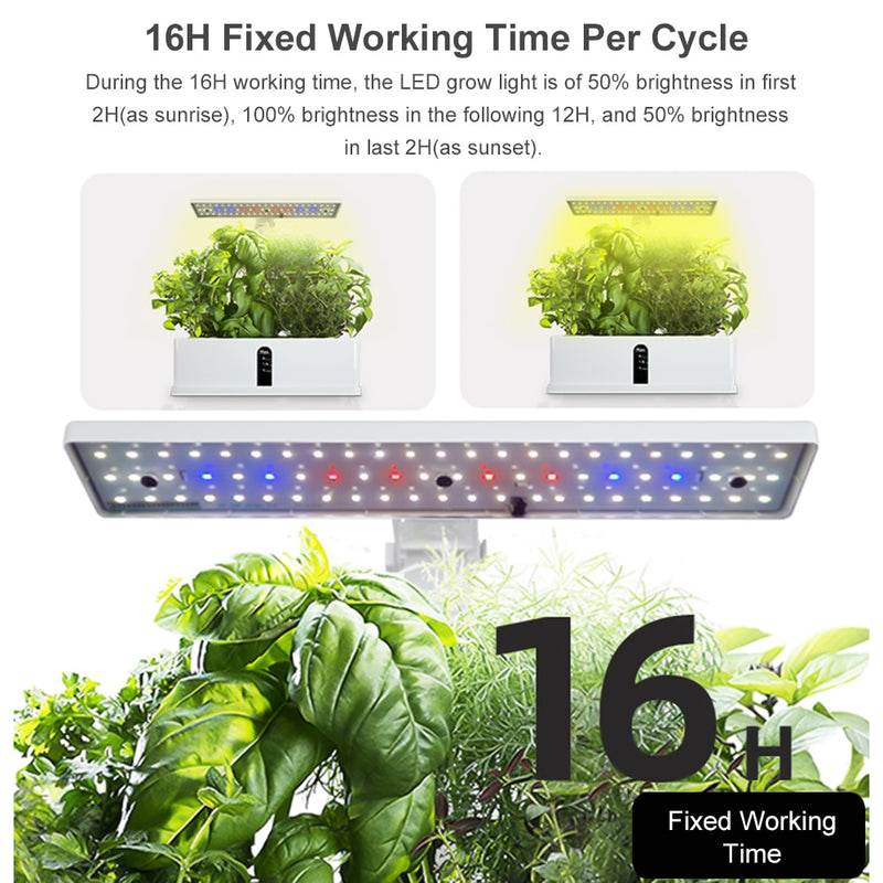 Garden Hydroponics Growing System