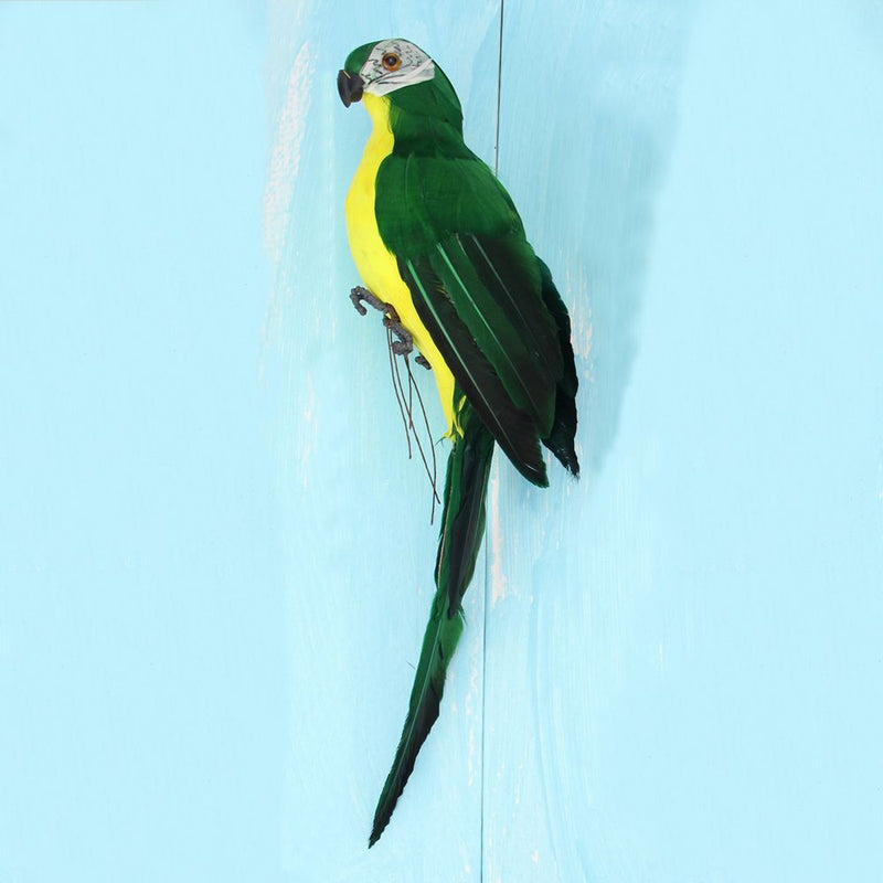 Creative Parrot Simulation